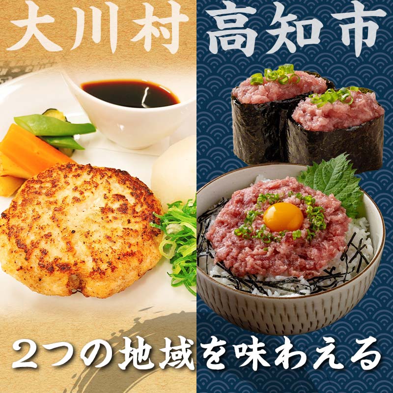 【セット定期便】【大川村と高知市の共通返礼品】土佐はちきん地鶏ハンバーグセット＆マグロのネギトロ 地鶏 鶏肉 とり肉 肉 まぐろ 海鮮 高知県 大川村 F6R-111
