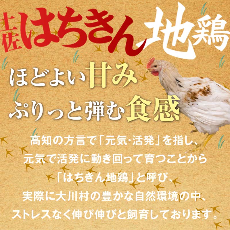 国産黒毛和牛 大川黒牛 リブロース 焼肉用 A4（350g）＆土佐はちきん地鶏 焼肉セット 国産 黒毛和牛 牛肉 地鶏 もも肉 むね肉 焼肉 バーベキュー BBQ キャンプ飯 焼き肉 牛 焼き肉 ビーフ 肉 食品 高知県 大川村 F6R-018