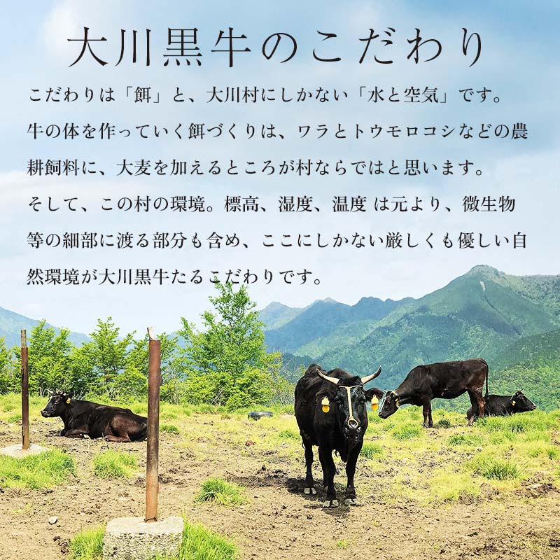 国産黒毛和牛 大川黒牛 ロース すき焼き用 スライス A4（250g×2パック） 国産 黒毛和牛 A4 ロース 牛肉 すき焼き 高知県 大川村  すきやき スキヤキ 記念日 お祝い 牛 ビーフ 肉 食品 F6R-024