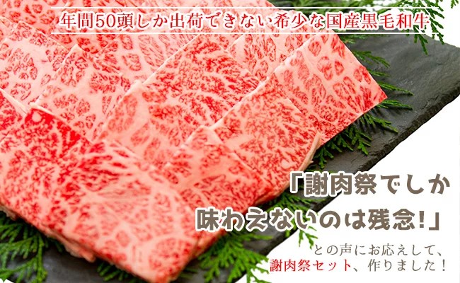 土佐はちきん地鶏600g （300g×2）大川黒牛180g 大川村謝肉祭のたれ400g 塩30g ポン酢200ml 地鶏 詰合せ もも肉 モモ むね肉 ムネ 胸肉 鶏肉 とり肉 とりにく 肉 高知県 大川村 F6R-082