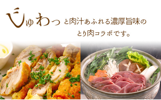 【大川村と芸西村の共通返礼品】はちきん地鶏 もも肉 1kg＆土佐鴨 鴨鍋肉（2～3人前）セット 地鶏 モモ肉 鶏肉 鴨 鴨肉 かも肉 とり肉 とりにく 肉 高知県 大川村  鶏モモ 鶏もも肉 F6R-012