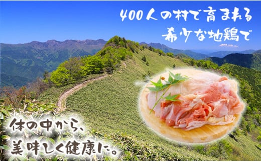 【大川村と芸西村の共通返礼品】はちきん地鶏 もも肉 1kg＆真鯛とブリの漬丼の素セット 800g 地鶏 モモ肉 鶏肉 真鯛 ぶり 鰤 丼 海鮮 どんぶり とり肉 とりにく 肉 高知県 大川村  F6R-015