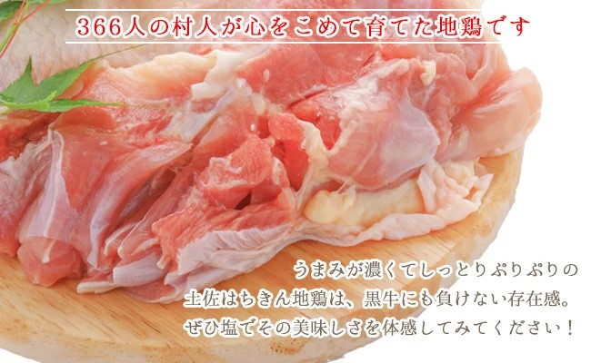 土佐はちきん地鶏600g （300g×2）大川黒牛180g 大川村謝肉祭のたれ400g 塩30g ポン酢200ml 地鶏 詰合せ もも肉 モモ むね肉 ムネ 胸肉 鶏肉 とり肉 とりにく 肉 高知県 大川村 F6R-082