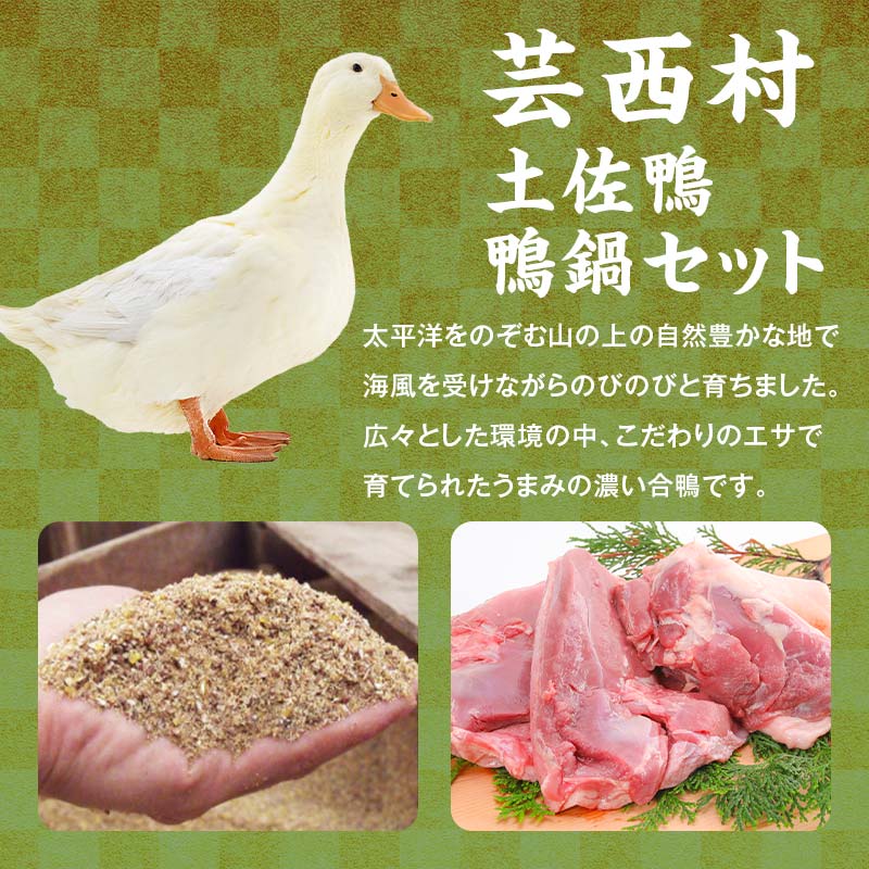 【セット定期便】【大川村と芸西村の共通返礼品】大川黒牛リブロース焼肉用A4＆土佐鴨鴨鍋セット 2～3人用 大川黒牛 リブロース 焼肉用 A4ランク F6R-105