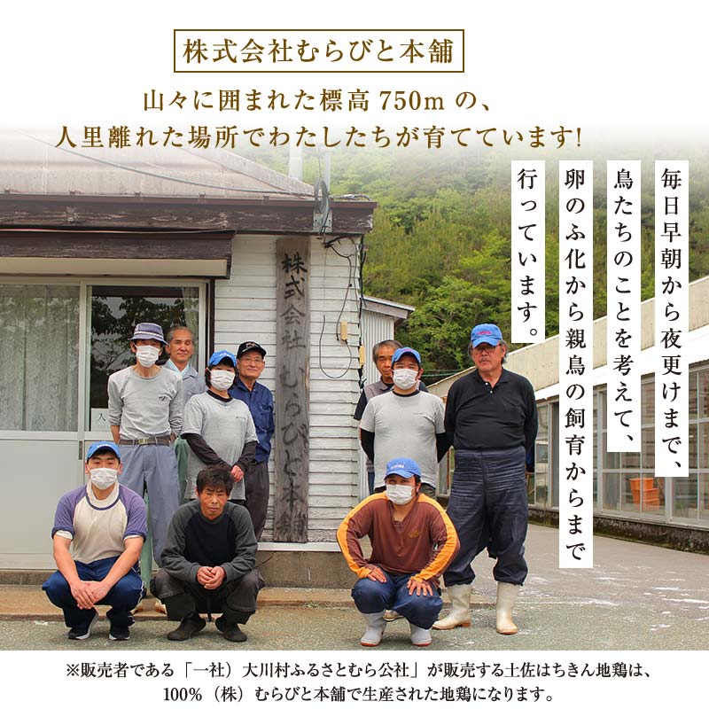 地鶏 土佐はちきん地鶏もも肉 5kg 地鶏 モモ肉 鶏肉 とり肉 とりにく 肉 高知県 大川村 F6R-103 5kg