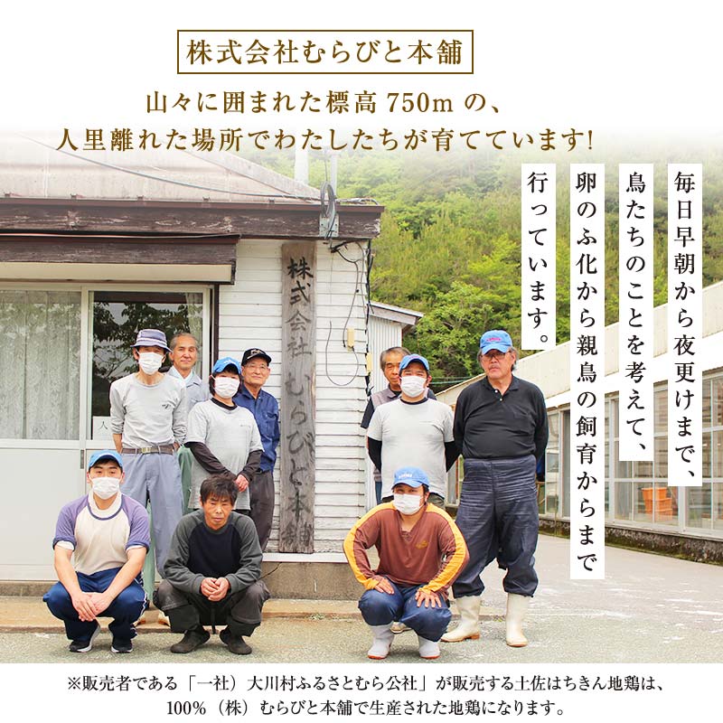 【こだわりの地鶏】土佐はちきん地鶏 もも肉