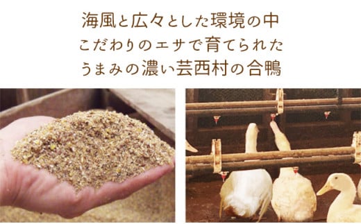 【大川村と芸西村の共通返礼品】はちきん地鶏 まるごと一羽おためしセット 約1kg＆土佐鴨 鴨鍋肉（2～3人前）セット 地鶏 もも肉 むね肉 ささみ 手羽先 手羽元 鶏肉 鴨 鴨肉 高知県 大川村  F6R-014