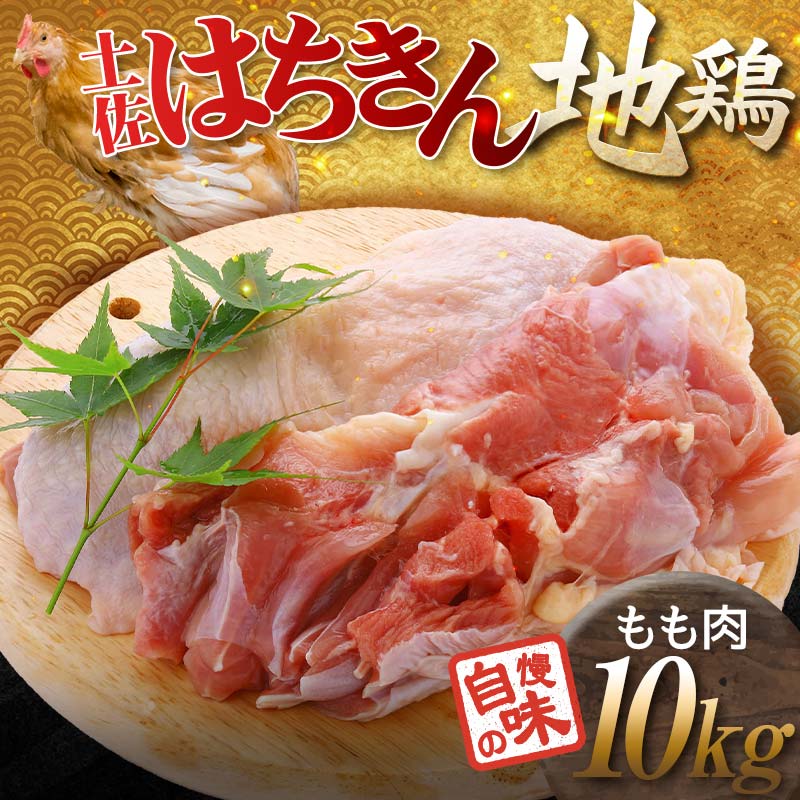 土佐はちきん地鶏 もも肉 10kg 大容量 地鶏 モモ肉 鶏肉 とり肉 とりにく 肉 高知県 大川村  鶏モモ 鶏もも肉 鶏 モモ チキン 食品 F6R-001 10kg