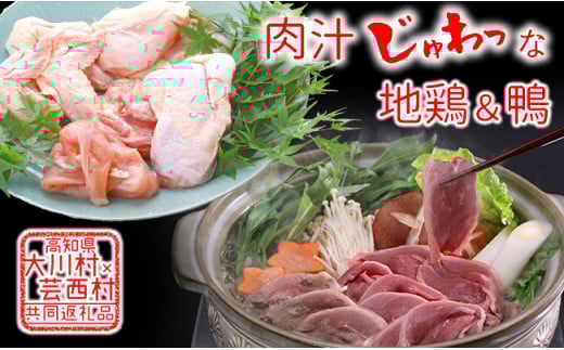 【大川村と芸西村の共通返礼品】はちきん地鶏 まるごと一羽おためしセット 約1kg＆土佐鴨 鴨鍋肉（2～3人前）セット 地鶏 もも肉 むね肉 ささみ 手羽先 手羽元 鶏肉 鴨 鴨肉 高知県 大川村  F6R-014