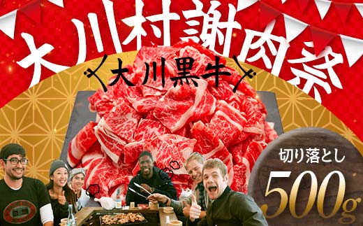 国産黒毛和牛 大川黒牛 切り落とし A4（250g×2パック） 国産 黒毛和牛 A4 切り落とし 牛肉 高知県 大川村  牛 ビーフ 肉 食品 F6R-020