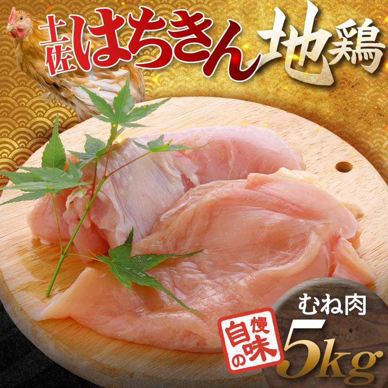 土佐はちきん地鶏 むね肉 1kg×5パック 計5kg 地鶏 ムネ肉 胸肉 鶏肉 とり肉 とりにく 肉 高知県 大川村  鶏ムネ 鶏むね肉 鶏 ムネ チキン 食品 F6R-031 5kg