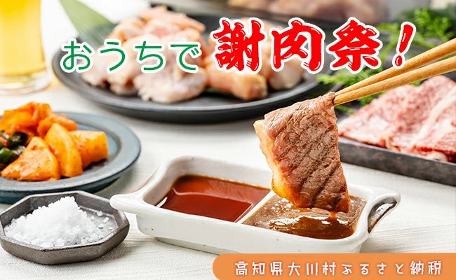 土佐はちきん地鶏600g （300g×2）大川黒牛180g 大川村謝肉祭のたれ400g 塩30g ポン酢200ml 地鶏 詰合せ もも肉 モモ むね肉 ムネ 胸肉 鶏肉 とり肉 とりにく 肉 高知県 大川村 F6R-082