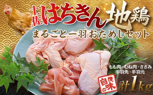 土佐はちきん地鶏 まるごと一羽おためしセット 約1kg もも肉 むね肉 ささみ 手羽先 手羽元 地鶏 モモ肉 ムネ肉 胸肉 ササミ 鶏肉 とり肉 とりにく 肉 高知県 大川村  チキン 鶏 F6R-010