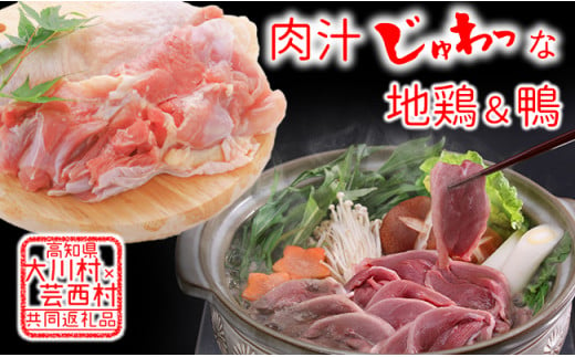 [大川村と芸西村の共通返礼品]はちきん地鶏 もも肉 1kg&土佐鴨 鴨鍋肉(4〜5人前)セット 地鶏 モモ肉 鶏肉 鴨 鴨肉 かも肉 とり肉 とりにく 肉 高知県 大川村 鶏モモ 鶏もも肉 F6R-012