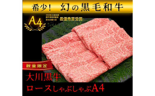 国産黒毛和牛 大川黒牛 ロース しゃぶしゃぶ用 スライス A4(250g×2パック) 国産 黒毛和牛 A4 ロース 牛肉 しゃぶしゃぶ 高知県 大川村 牛しゃぶ 鍋 牛 ビーフ 肉 食品 F6R-023