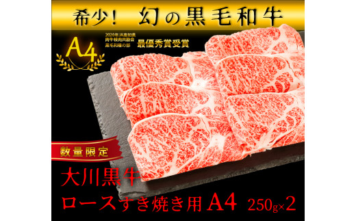 国産黒毛和牛 大川黒牛 ロース すき焼き用 スライス A4(250g×2パック) 国産 黒毛和牛 A4 ロース 牛肉 すき焼き 高知県 大川村 すきやき スキヤキ 記念日 お祝い 牛 ビーフ 肉 食品 F6R-024