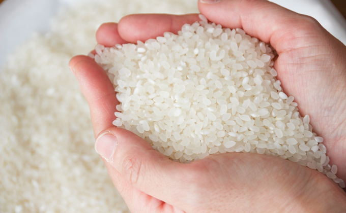 上東産　仁淀米【2025年10月末から発送】