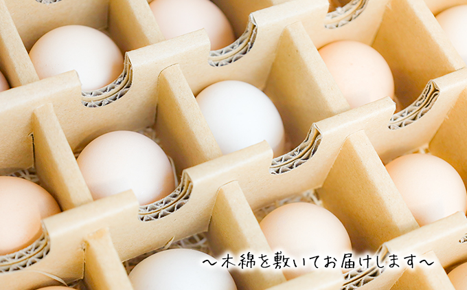 【定期便】土佐ジローたまご（1箱36個入）×6回   約3週間毎に1回