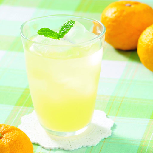 高知アイスの無添加ゆずドリンク「希釈用」1L×6本