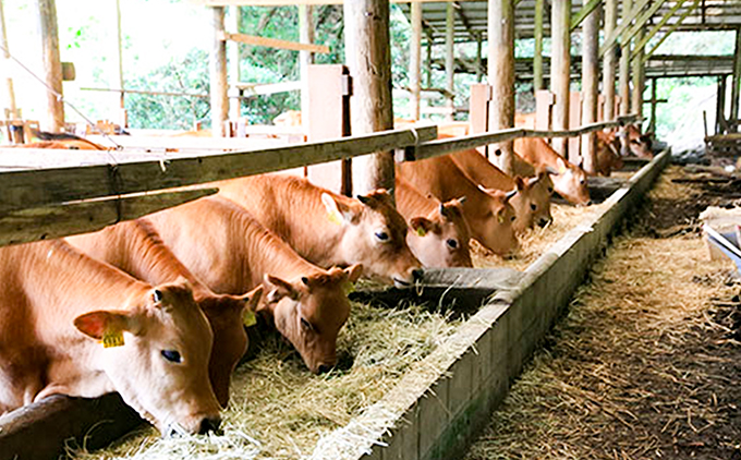 【仁淀川×土佐あかうし】手ぶらでバーベキュー体験プラン★2人前