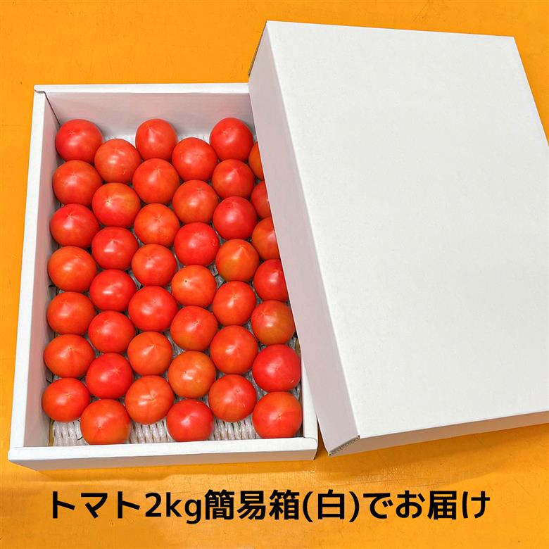 まっことうまい！水田さんのフルーツトマト【約２kg / 簡易箱入】