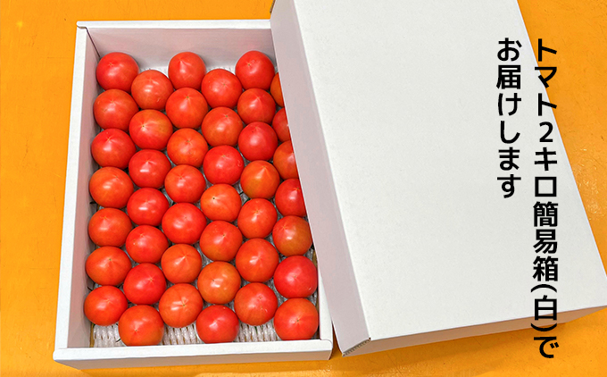 【数量限定】水田さんのフルーツトマト２㎏定期便（全3回 / 3・4・5月お届け / 簡易箱入）