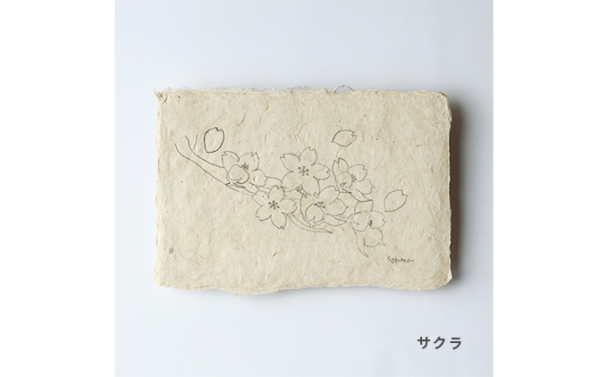 【奏華舎】土佐和紙カード＆染紙封筒セット（ボタニカル / アソート３種）