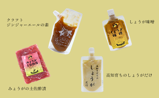 Japan Ginger厳選お試しセット（各種1本）