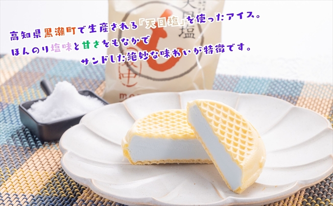 Made in 土佐★天日塩もなか6個（高知アイス）
