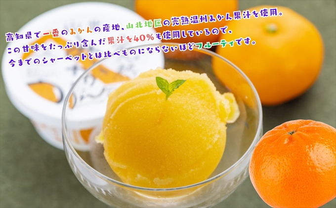 Made in 土佐★完熟山北みかんシャーベット6個（高知アイス）