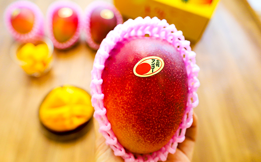 【母の日お届け】かおる・とろける！土佐マンゴー10個