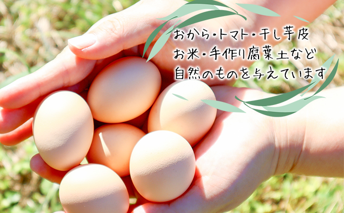 【定期便】土佐ジローたまご（1箱36個入）×6回  約2週間毎に1回