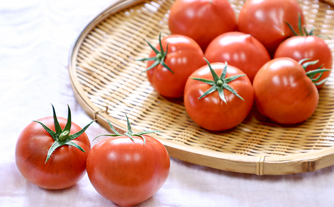 【数量限定】水田さんのフルーツトマト２㎏定期便（全3回 / 2・3・4月お届け / 化粧箱入）