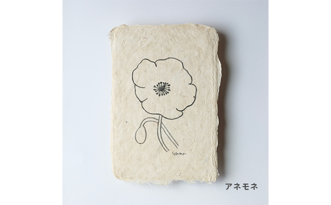 【奏華舎】土佐和紙カード＆染紙封筒セット（ボタニカル / アソート３種）