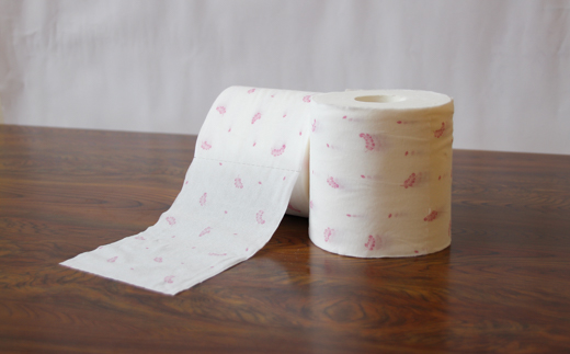 【定期便３か月】藤の香り　トイレットペーパーダブル 48ロールを3回お届け