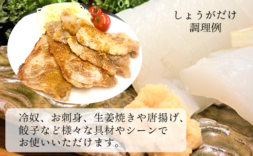 Japan Ginger厳選お試しセット（各種1本）