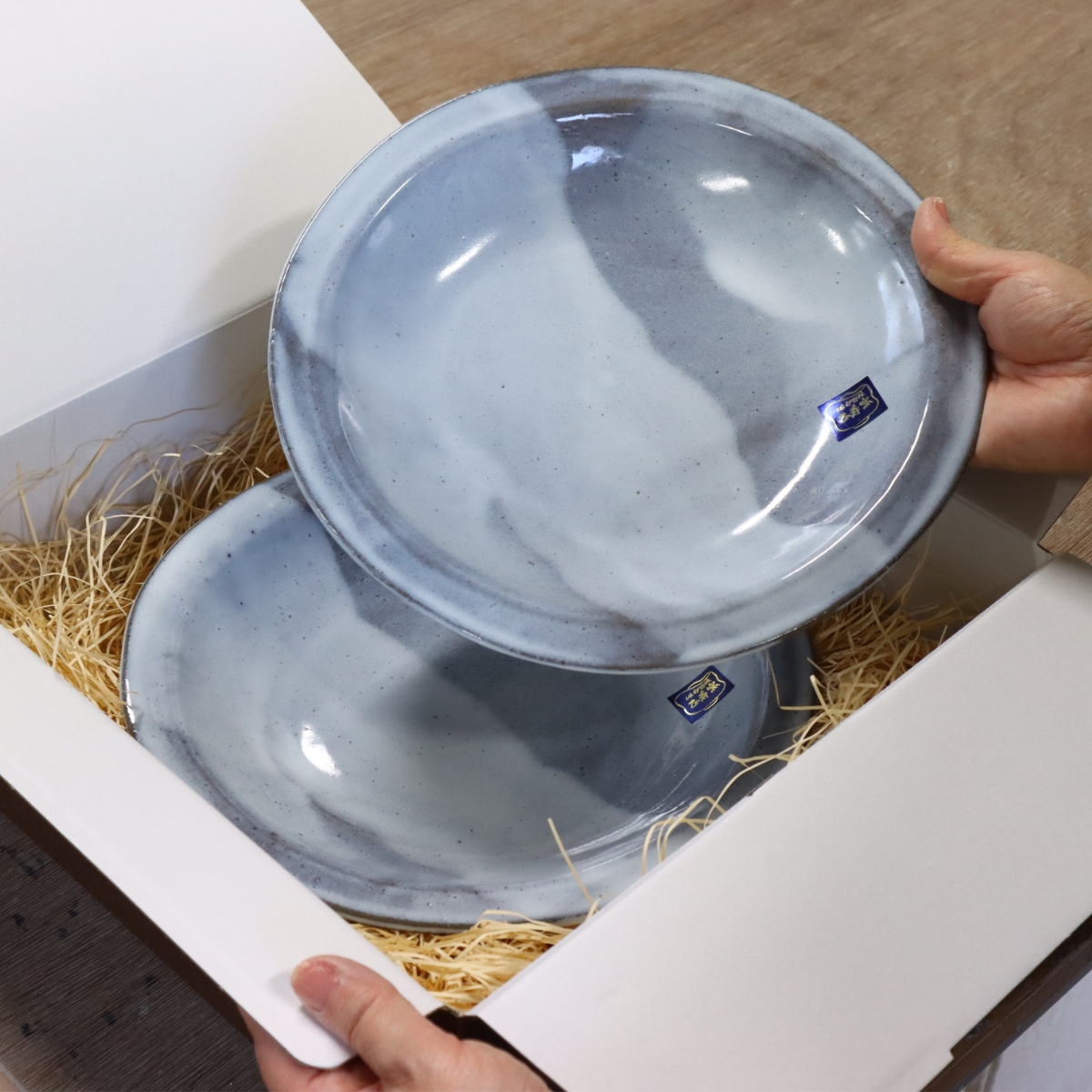 焼き物 パスタ皿 ２枚ペアセット