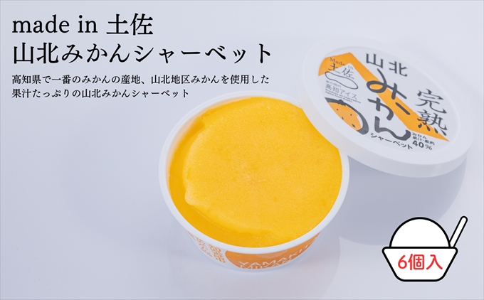 Made in 土佐★完熟山北みかんシャーベット6個（高知アイス）