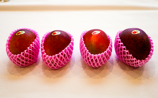 【母の日お届け】かおる・とろける！土佐マンゴー10個