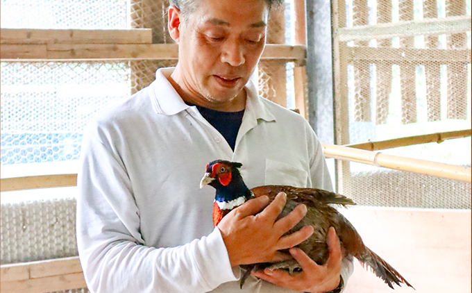 【きじ肉】きじ重６人前