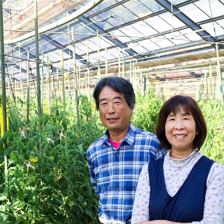 まっことうまい！水田さんのフルーツトマト【約1kg / 化粧箱入】