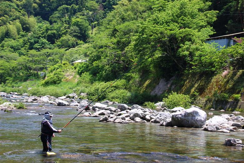 フレッシュマートキシモトさんの天然鮎（冷凍）1kg