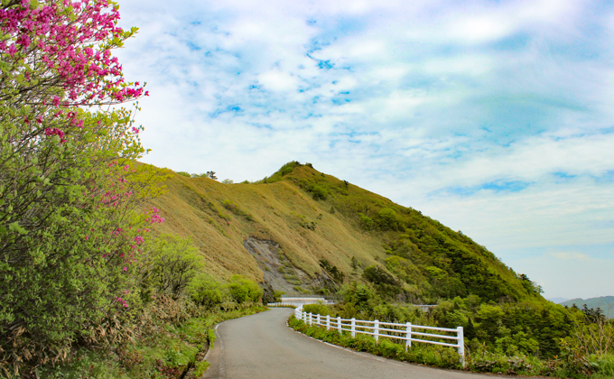 山荘しらさ　ペア宿泊券