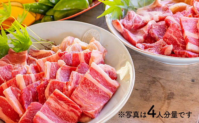 【仁淀川×土佐あかうし】手ぶらでバーベキュー体験プラン★2人前