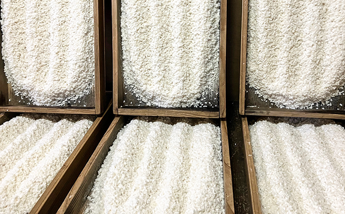 西内糀手づくり味噌キット★出来上がり目安3-4kg★