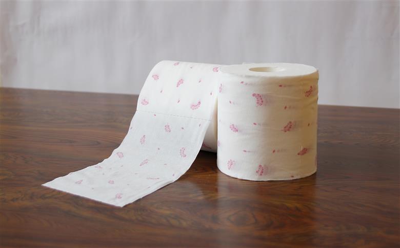 藤の香り　トイレットペーパーダブル 48ロール（人気厳選シリーズ）