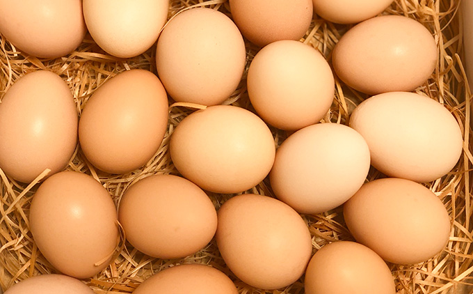 土佐ジロー卵の米粉フィナンシェ（５個）と土佐ジロー黄色プリン（５個）