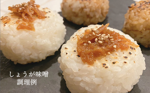 Japan Ginger厳選お試しセット（各種1本）