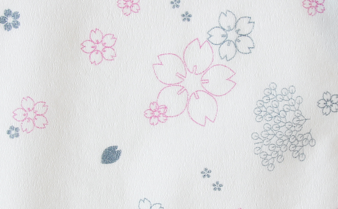 四国特紙　プレミアムセット