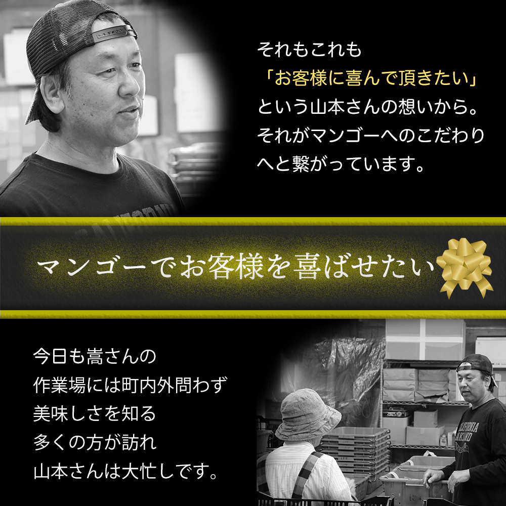 かおる・とろける！土佐マンゴー10個